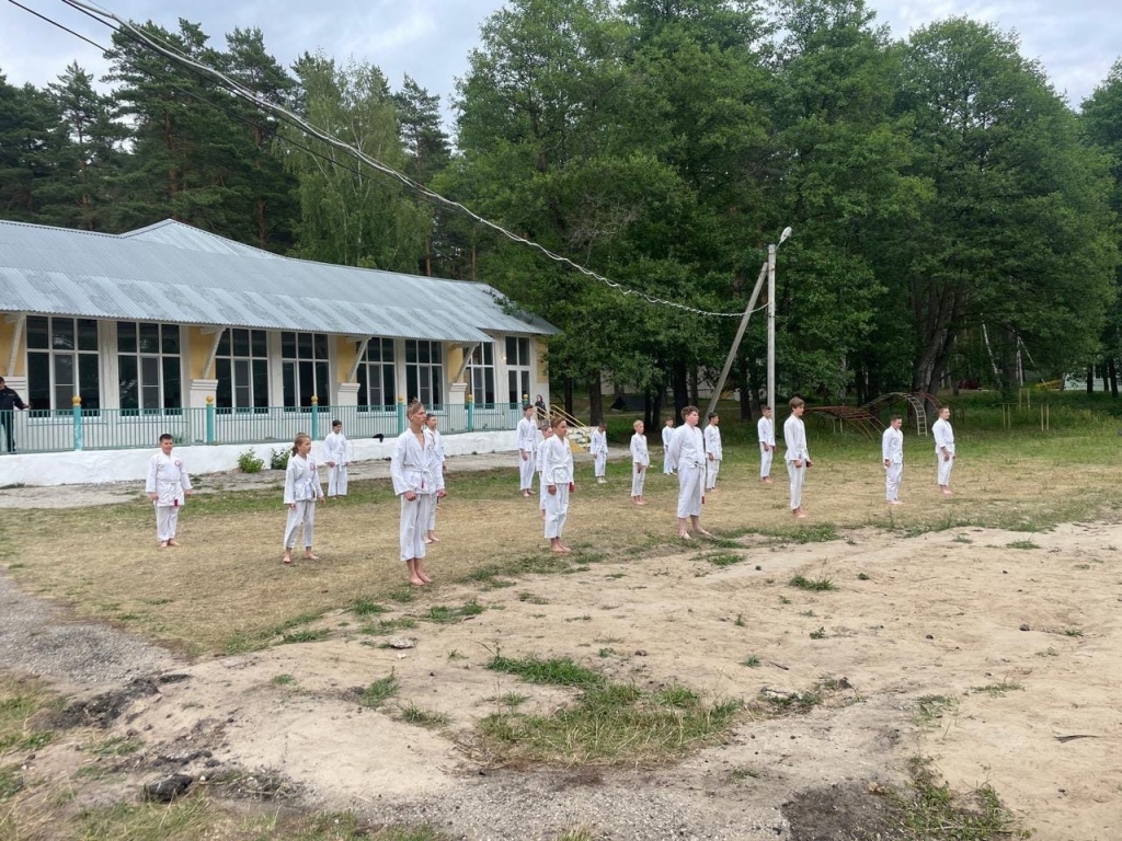 Лагерь Ласточка Нижегородская область